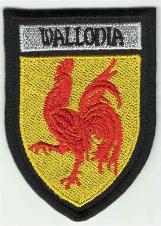 Wallonia schild stoffen opstrijk patch embleem #2, Verzamelen, Kleding en Patronen, Verzenden, Nieuw