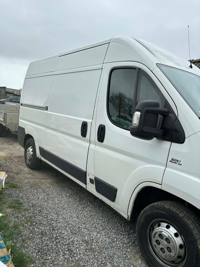 Fiat Ducato, Achat, Fiat