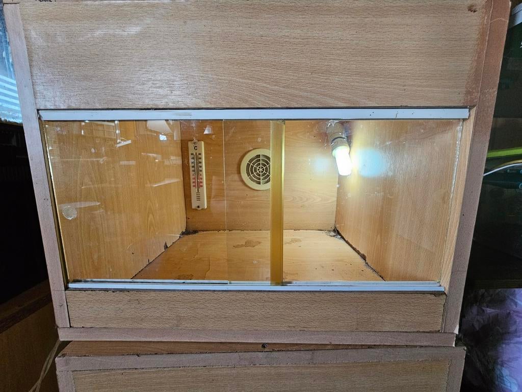 Terrarium/terraria te koop, Ophalen