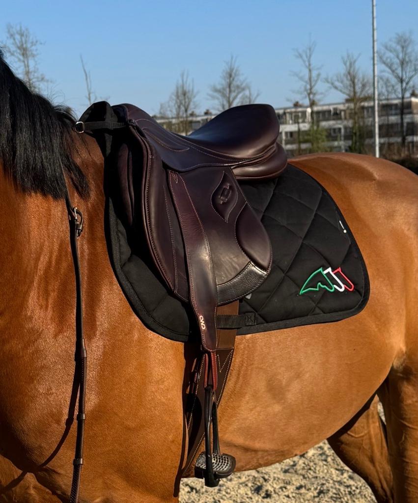 Selle Stübben Genesis VSD – Siege BIOMEX - 17,5 - Sport & Plein air