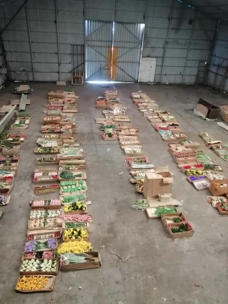 Vente de fleurs en soie / artificielles + formes oasis, Soie, Enlèvement, Neuf, Fleur artificielle