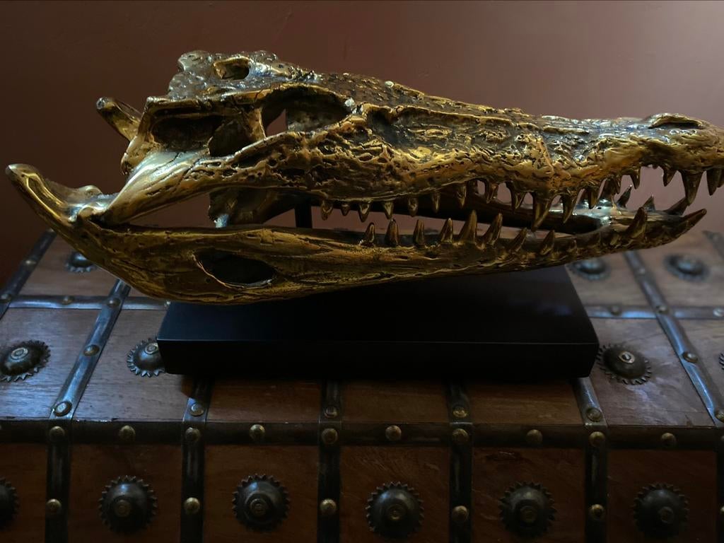 Saltwater Crocodile Skull in polished bronze, Ophalen of Verzenden