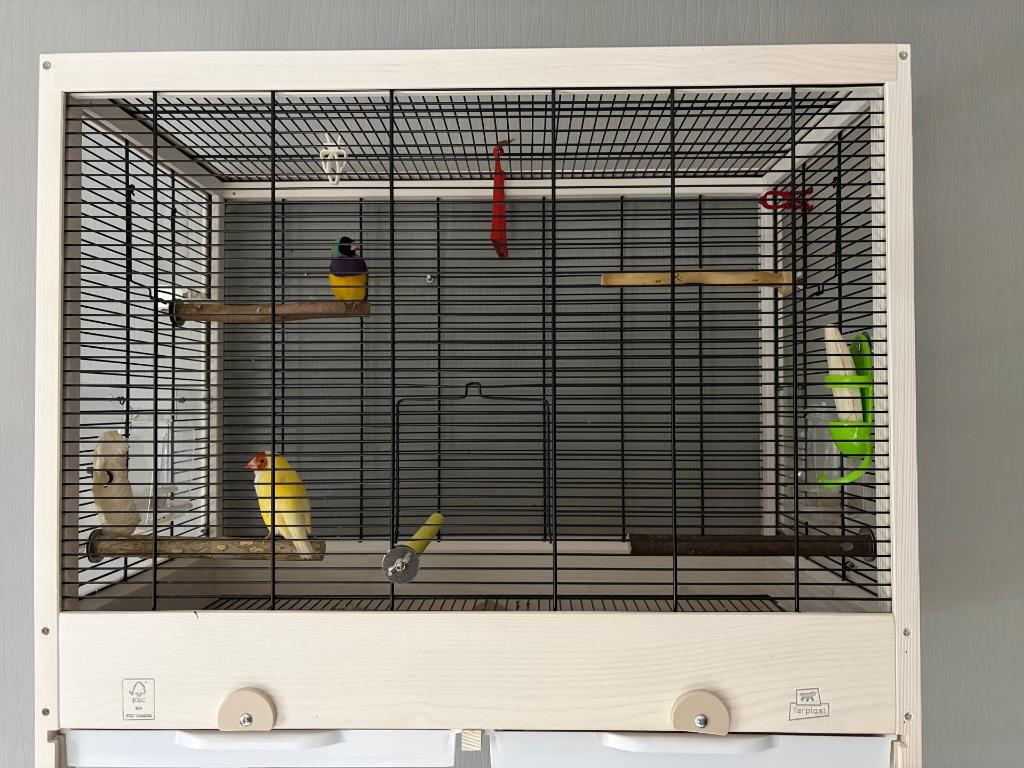 Cage Ferplast en Bois, Enlèvement, Comme neuf