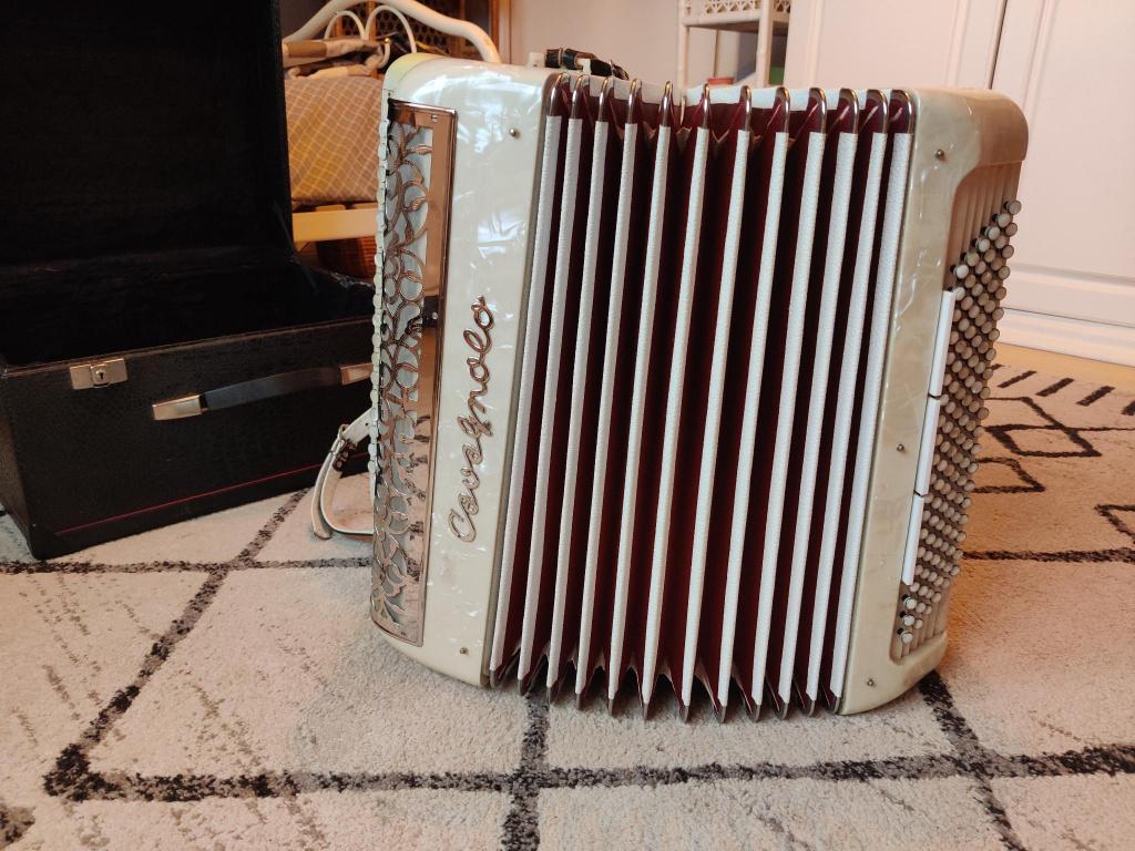 Accordéon Cavagnolo Vedette 1972, Musique & Instruments, Accordéons, Utilisé, Accordéon à boutons, Autres marques, Avec valise