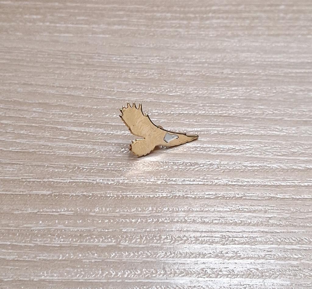 PIN - ROOFVOGEL - BIRD OF PREY - VOGEL - OISEAU DE PROIE, Envoi, Utilisé, Animal et Nature, Insigne ou Pin's