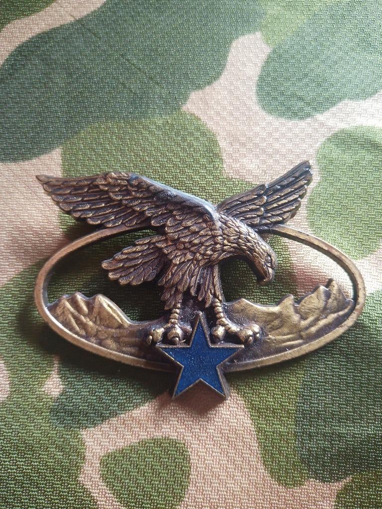Brevet  troupes de Montagne (BQTM), lire annonce, Collections, Objets militaires | Général, Armée de terre