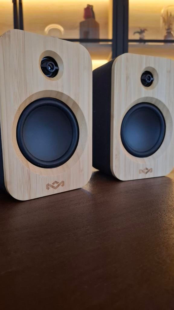 Luidsprekers house of marley, Enlèvement