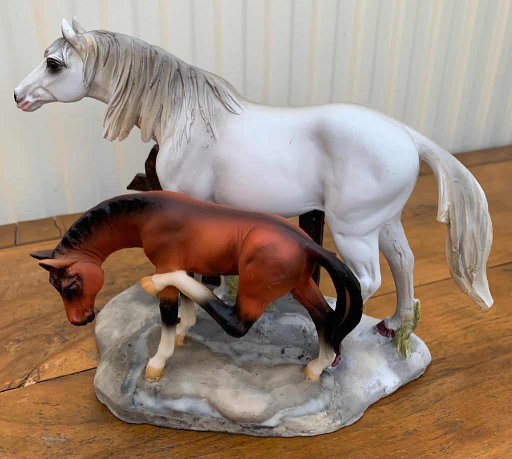 BEELD PAARDEN, Verzamelen, Ophalen