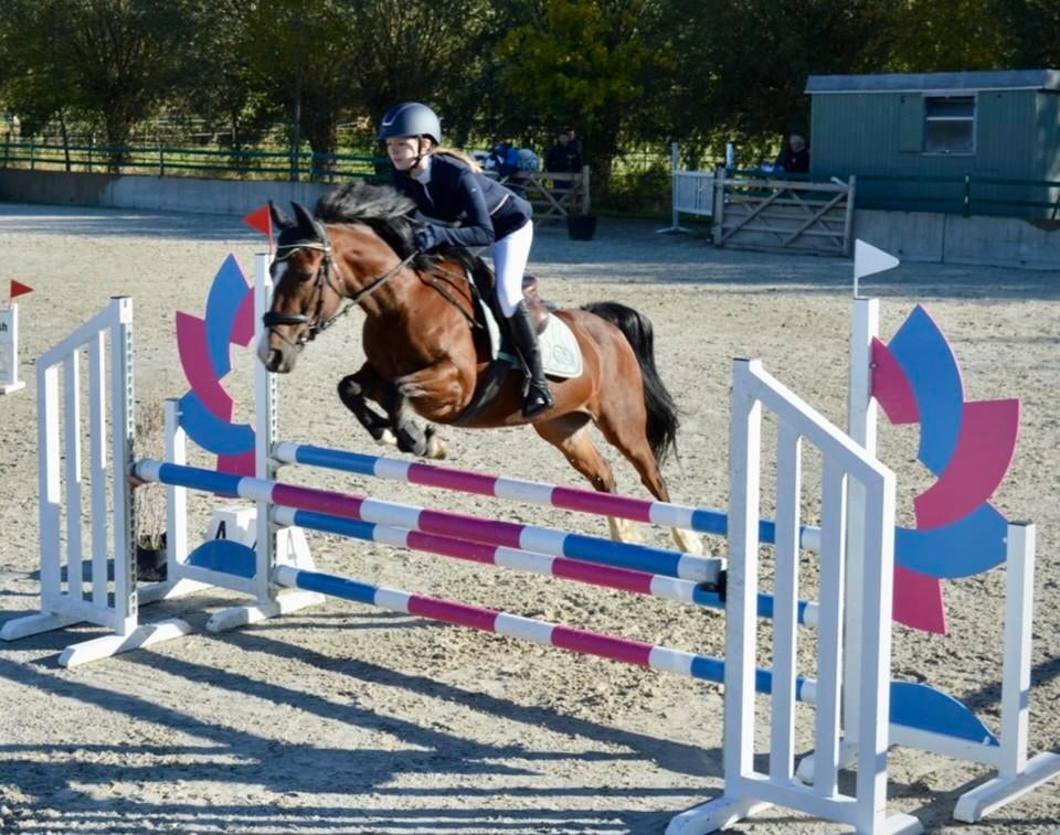 Le poney D épicé le plus doux avec un cœur doré, Animaux & Accessoires, Chevaux, 11 ans ou plus, Moins de 160 cm, Avec pedigree