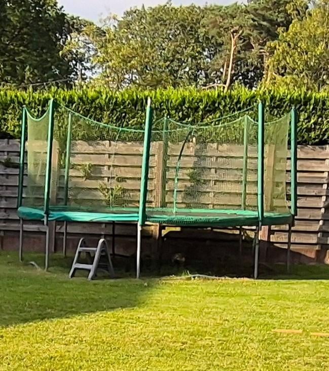 Gratis Trampoline Kadee 450 cm, Enlèvement, Utilisé