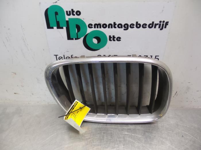 Calandre d'un BMW X5, -, 3 mois de garantie, Utilisé, -
