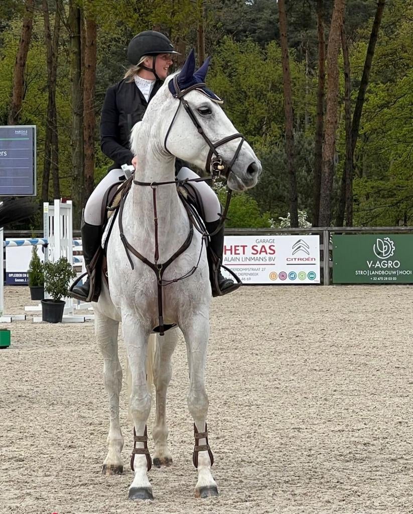 Kweekmerrie of sportpaardje te koop, Animaux & Accessoires, Chevaux & Poneys | Étalons & Juments poulinières, Jument