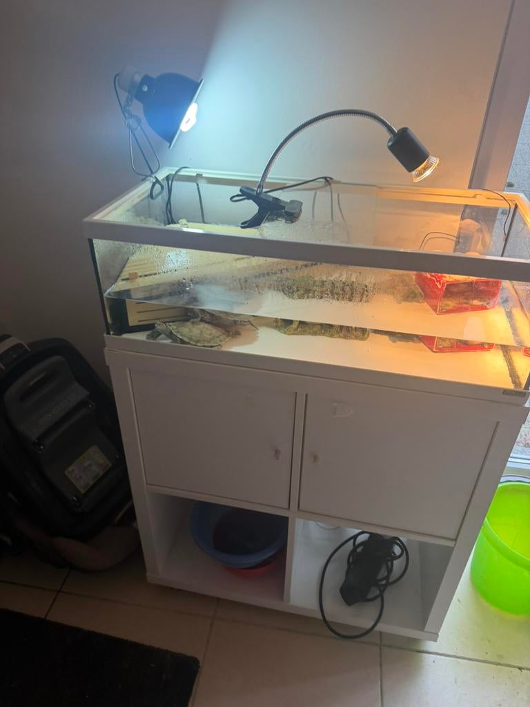 Aquarium, Enlèvement, Utilisé