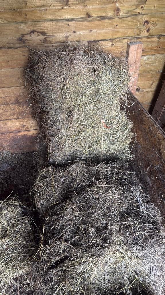 Hooi, Dieren en Toebehoren, Ophalen