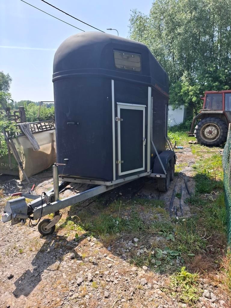 Chevaux de, Enlèvement