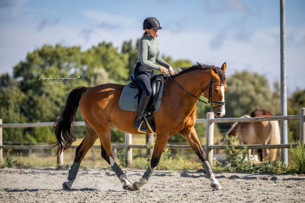 Dressuur paard te koop!, Dieren en Toebehoren, Paarden, Gechipt, Ruin, Dressuurpaard, Zadelmak