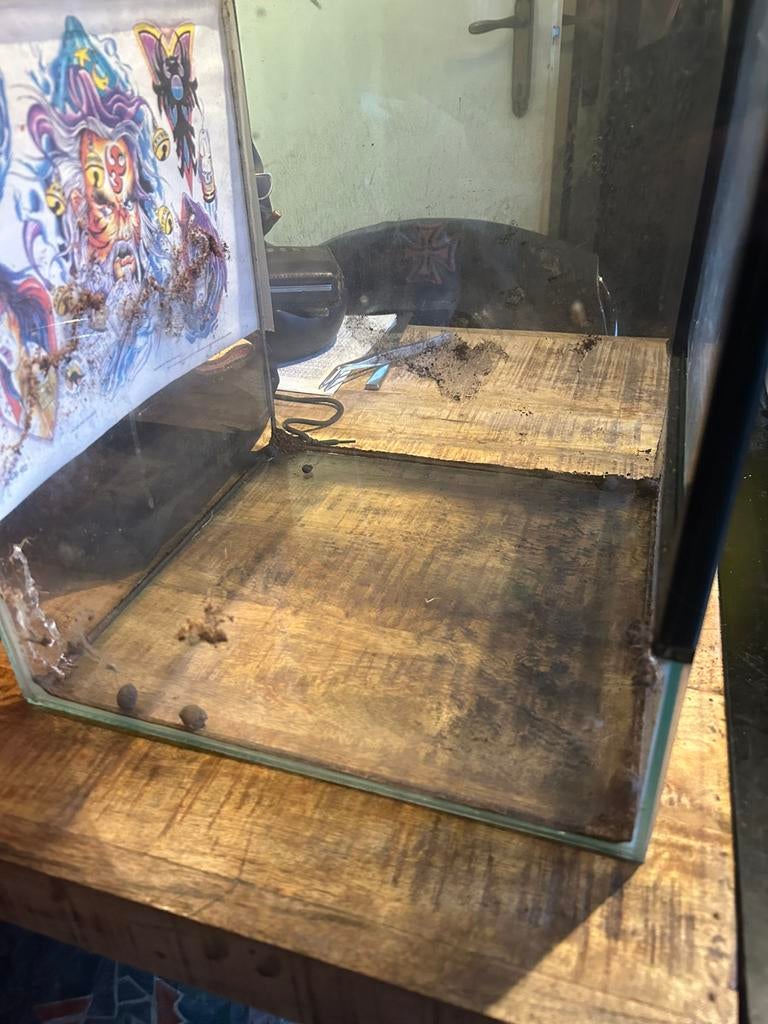 Glazen terrarium 30x30x30