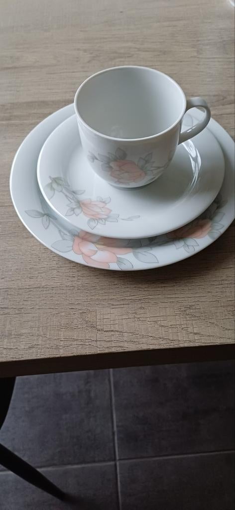 Koffieservies Winterling, Enlèvement, Porcelaine