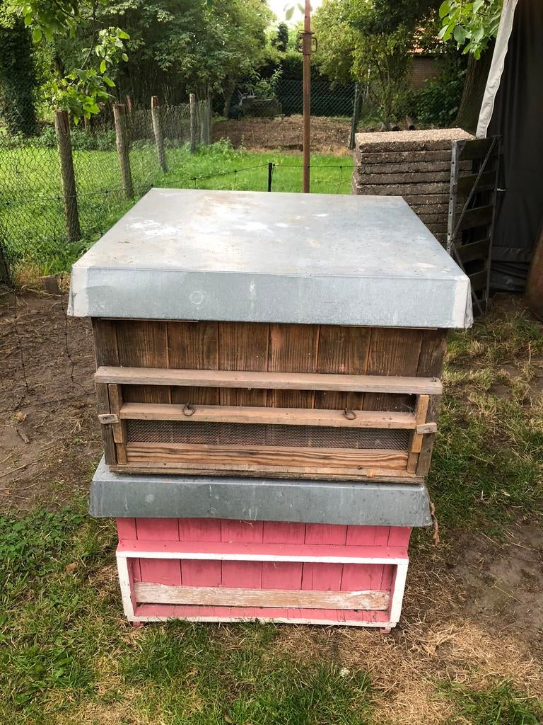 Bijenkasten Golz, Bijen