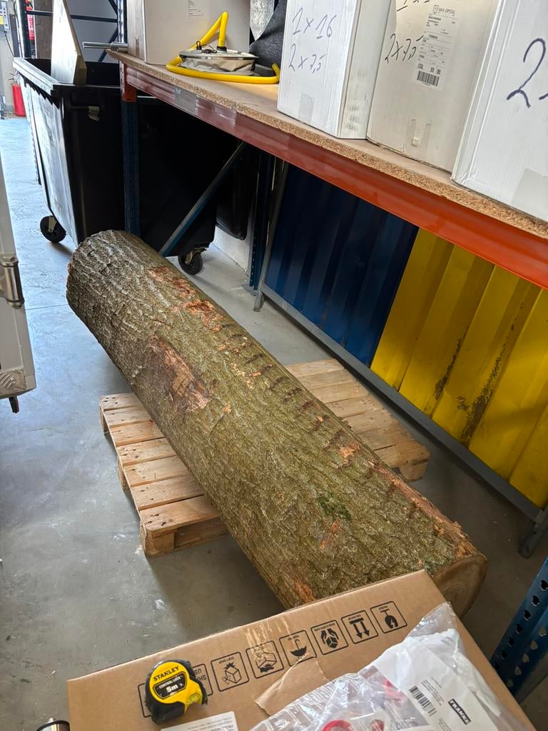 Eiken boomstam, Enlèvement, Comme neuf, Chêne, 200 à 250 cm