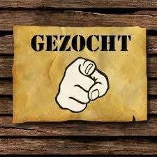 Gezocht: Zelfstandige Chauffeur / Allround Medewerker, Overige vormen