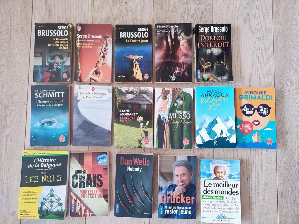 Livres de poche parfait état 2€, Livres, Enlèvement