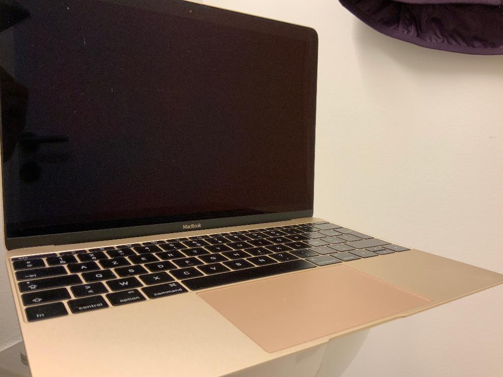 MacBook Retina - Gold - 256GB, Gebruikt, 256 GB, 8 GB, Minder dan 2 Ghz
