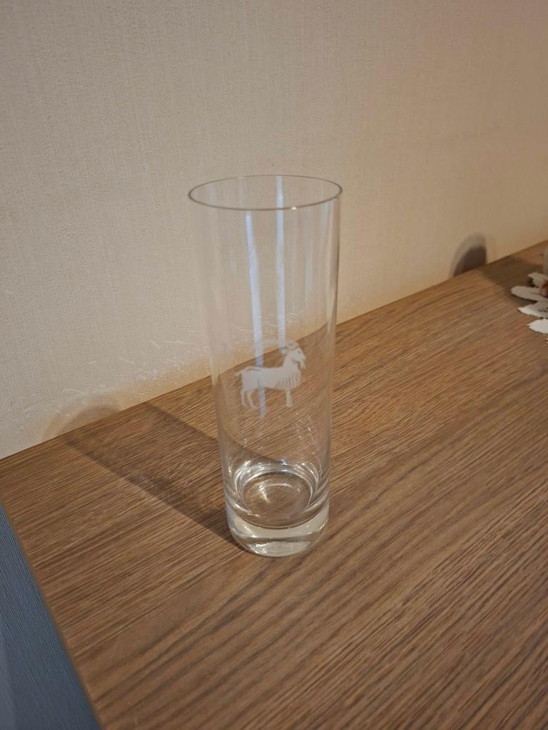 Longdrinkglas / Sterrenbeeld steenbok, Ophalen of Verzenden, Zo goed als nieuw, Overige typen