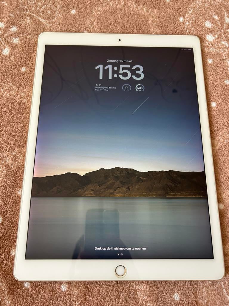 iPad Pro Gold 256gb Goud glas protector, Computers en Software, Apple iPads, Ophalen of Verzenden, Apple iPad Pro, 256 GB, Gebruikt