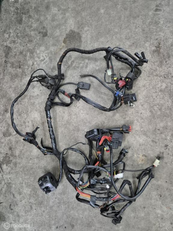 Kabelboom draadboom Hypermotard 1100, Motos, Pièces | Ducati, Utilisé, Enlèvement ou Envoi