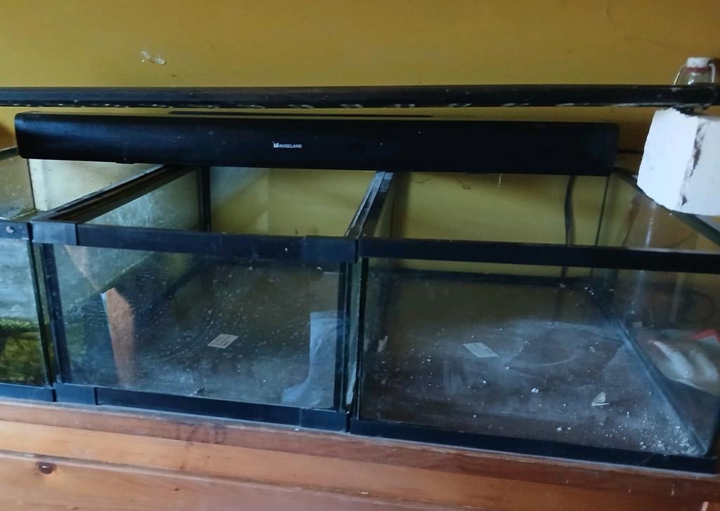 Kleine terrarium of schildpad bak, Ophalen