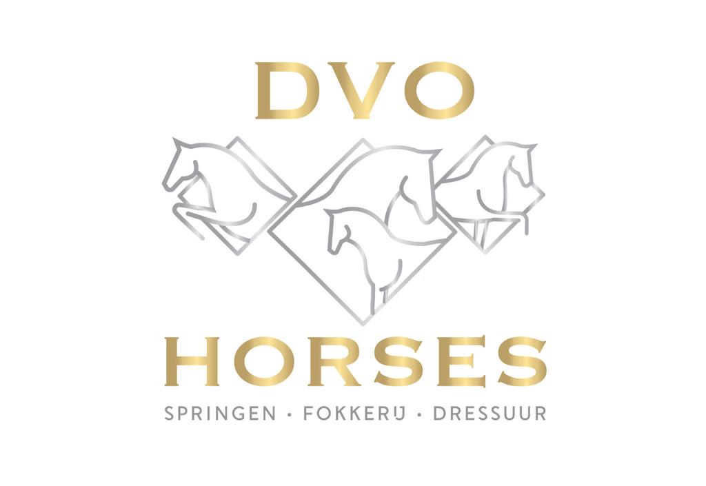 Zadelmak maken van uw paard, Leçons d'équitation ou Stages de poney