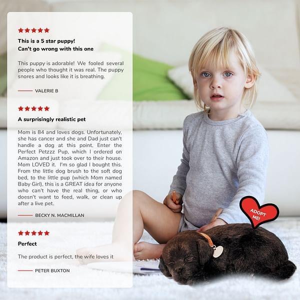 Perfect Petzzz hondje labrador zwart, Ophalen of Verzenden, Nieuw, Hond