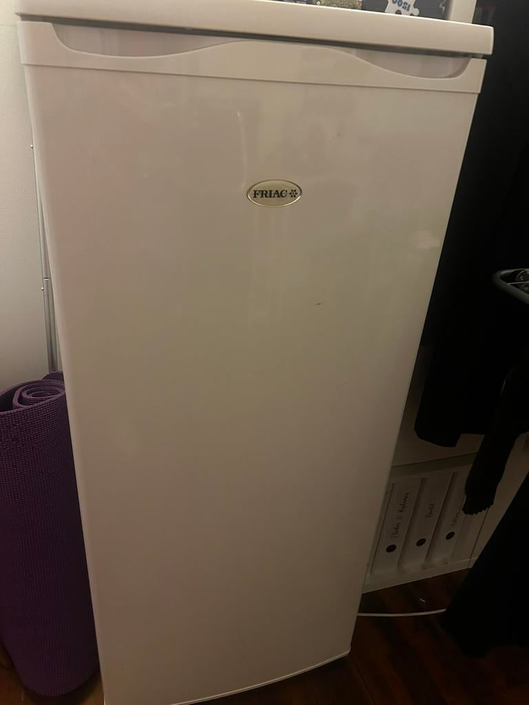 Congeleteur Friac, Elektronische apparatuur, Vriezers en Diepvrieskisten, Ophalen, Zo goed als nieuw, Vrieskast