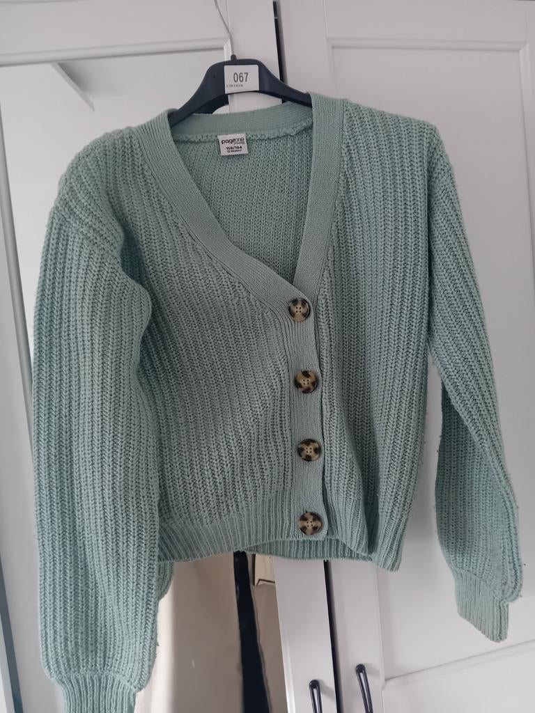 Mooie gilet pistachio kleur, Ophalen of Verzenden
