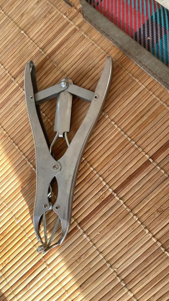 Tang, Dieren en Toebehoren