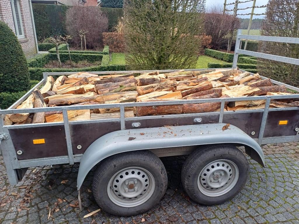 vers brandhout grove den, Tuin en Terras, Brandhout, Minder dan 3 m³, Ophalen, Overige houtsoorten, Takken
