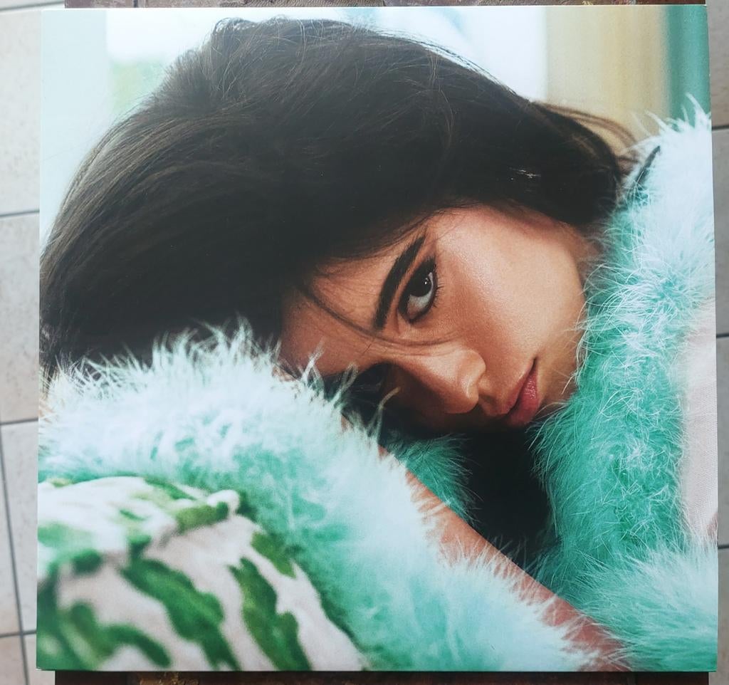 Camilla Cabello Familia Vinyl, CD & DVD, Vinyles | Pop, Enlèvement, Comme neuf