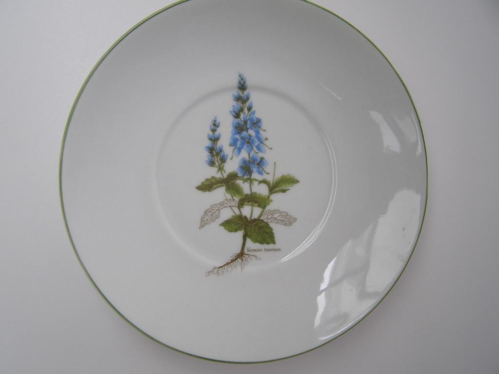 Plat en porcelaine Veronica Teocrium, Neuf, Enlèvement ou Envoi, Autres styles, Porcelaine