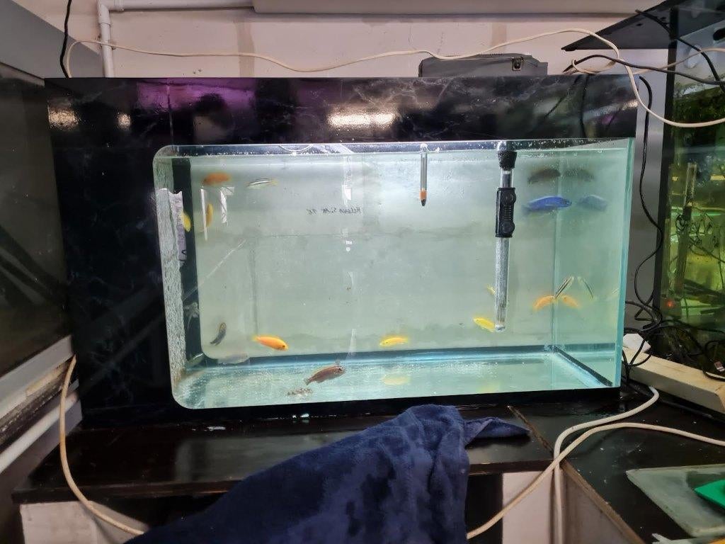 bel aquarium, Enlèvement, Chauffage, Comme neuf, Aquarium vide