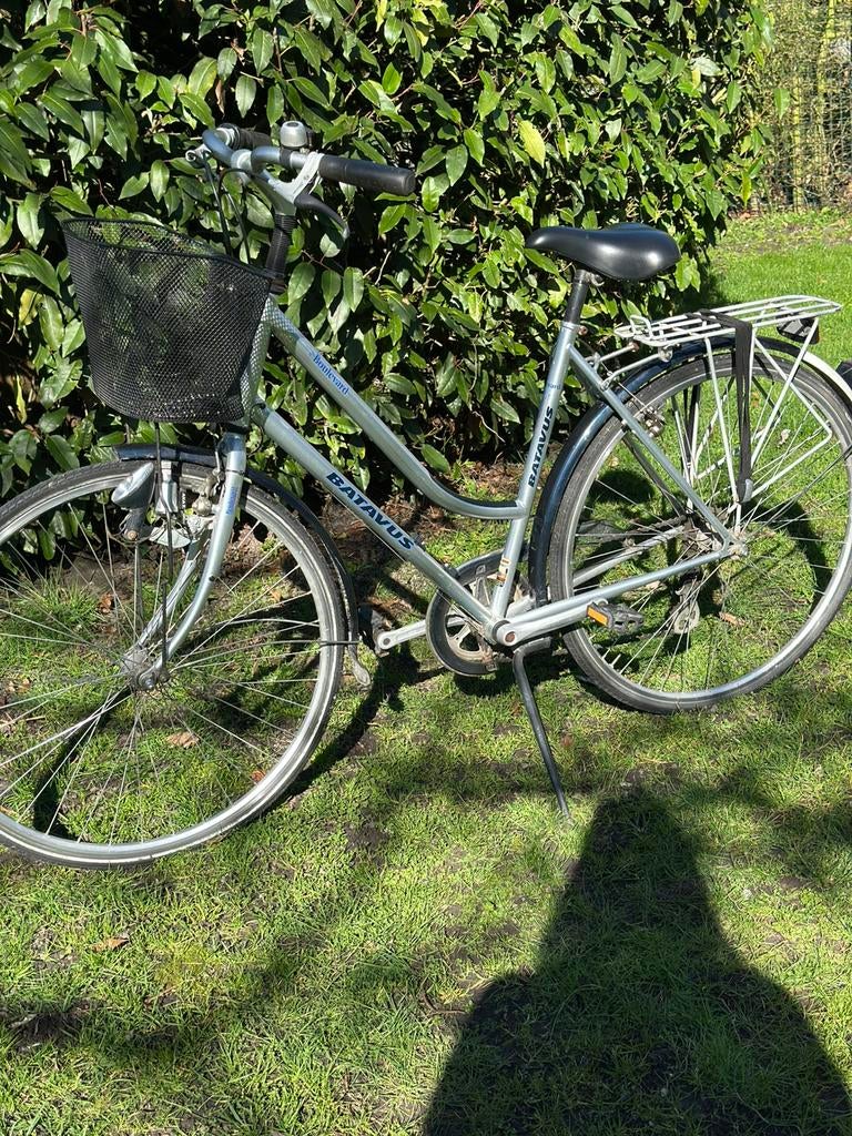 Vintage Damesfiets Batavus, Ophalen, Zo goed als nieuw, Batavus