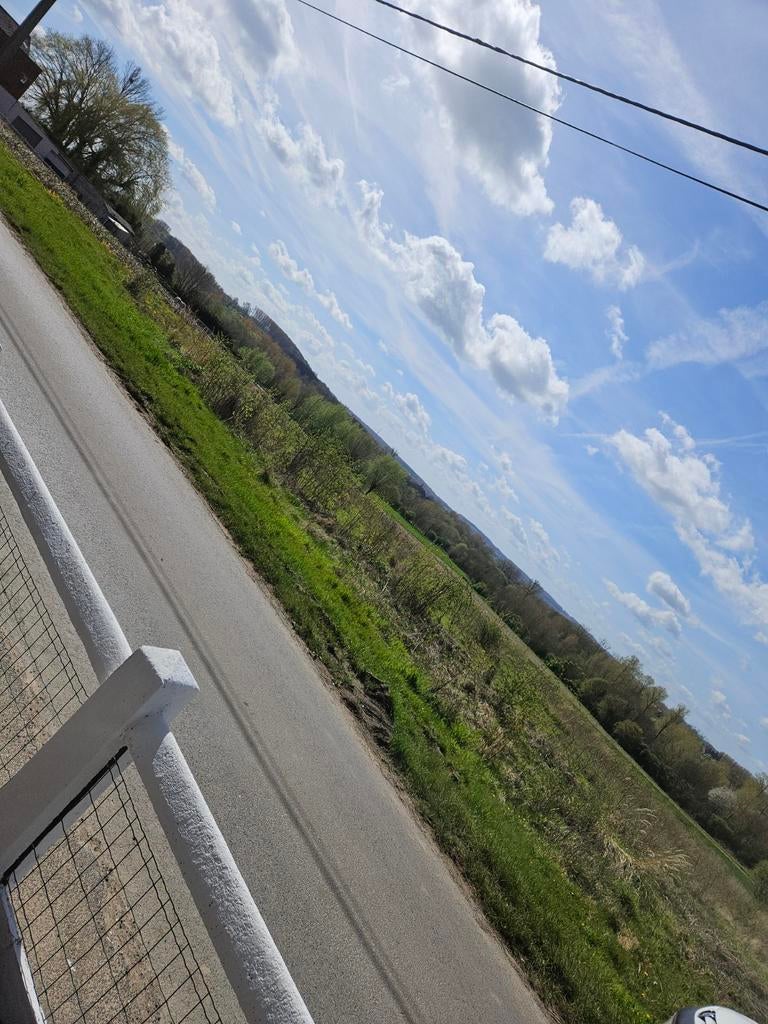 Huis te koop in Brakel.