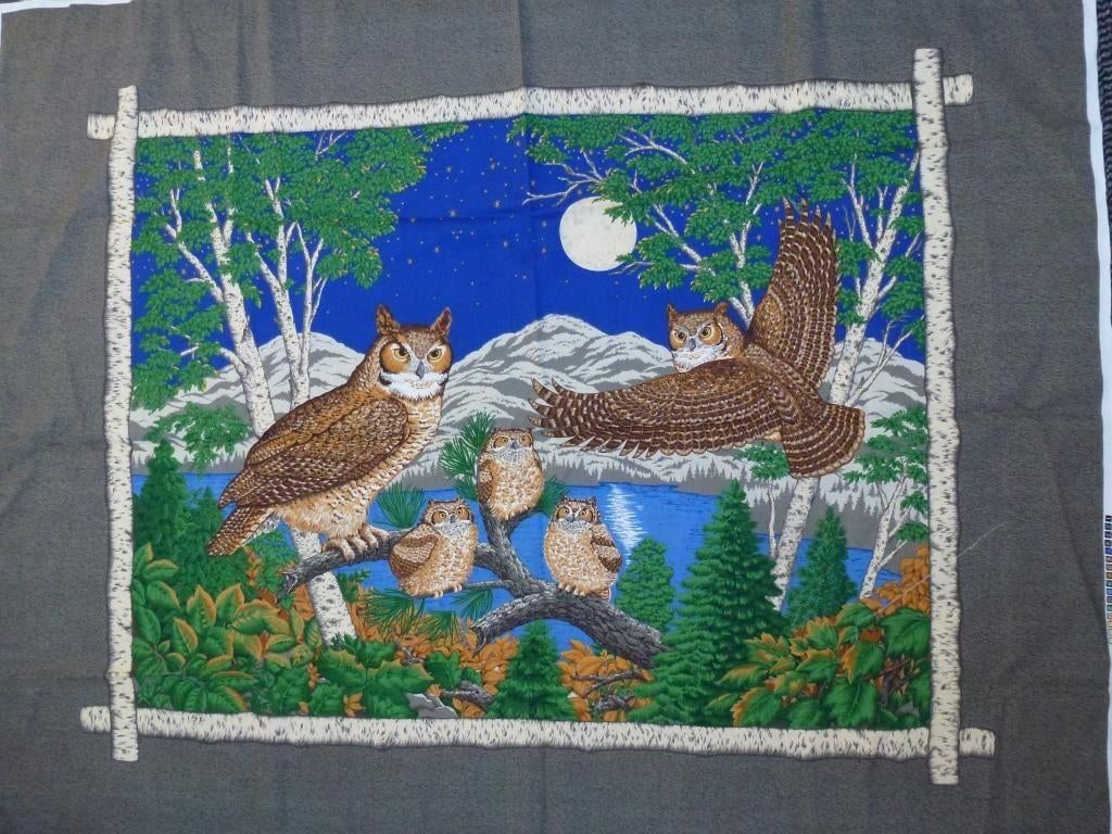 2 lappen stof voor quilt of .... met uilen, Ophalen of Verzenden, Nieuw, Handborduren, Overige typen