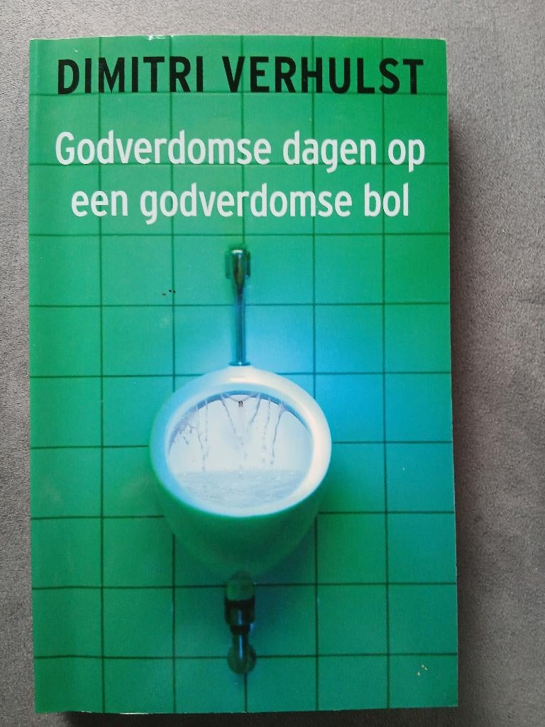 Godverdomse dagen op een godverdomse bol, Boeken, Romans, België, Ophalen of Verzenden, Zo goed als nieuw, Dimitri Verhulst