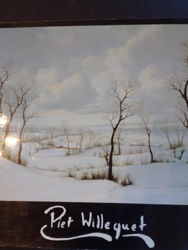 Piet Willequet  1  Monografie, Verzenden, Nieuw, Schilder- en Tekenkunst