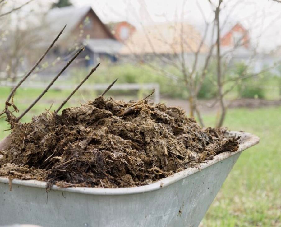 Gratis paardenmest, Ophalen, Mest