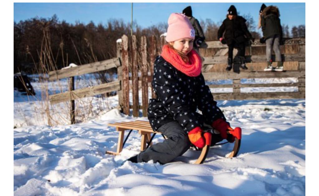 Sneeuw slee, Ophalen of Verzenden, Nieuw, Hout
