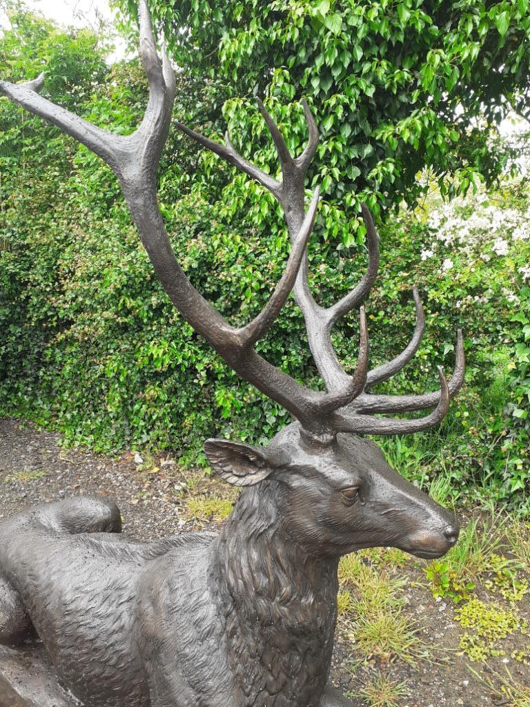 SUPERBE CERF COUCHE EN BRONZE (grandeur nature ), Enlèvement, Utilisé, Autres matériaux, Animal