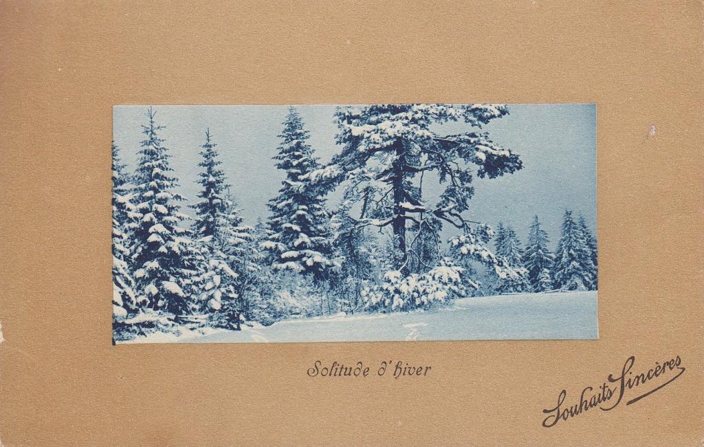 FRANKRIJK - Wenskaart - Solitude d'Hiver, Verzamelen, Verzenden, Gelopen, Natuur