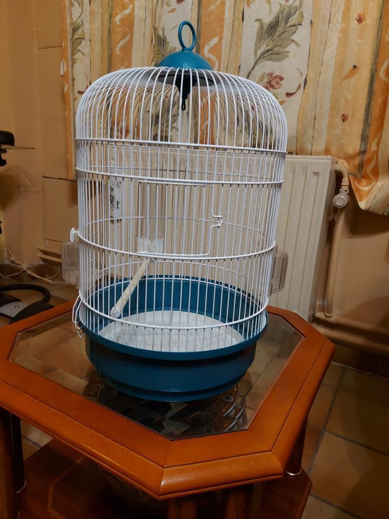 Cage pour oiseaux, Enlèvement